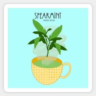 Mint Tea Sticker